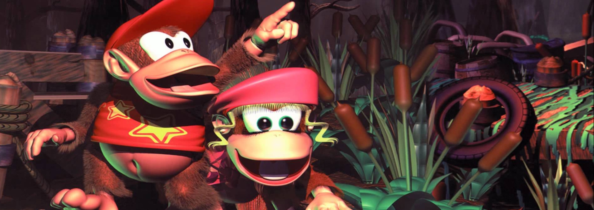 Banner Donkey Kong Country 2 Diddys Kong Quest