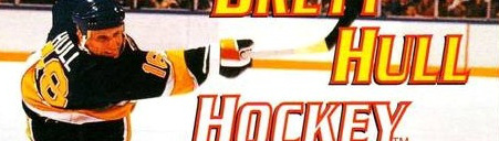 Banner Brett Hull Hockey