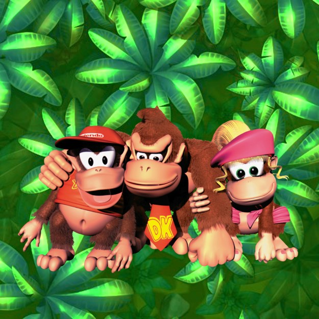 Donkey Kong, Diddy Kong en Dixy Kong op de Nintendo Entertainment System